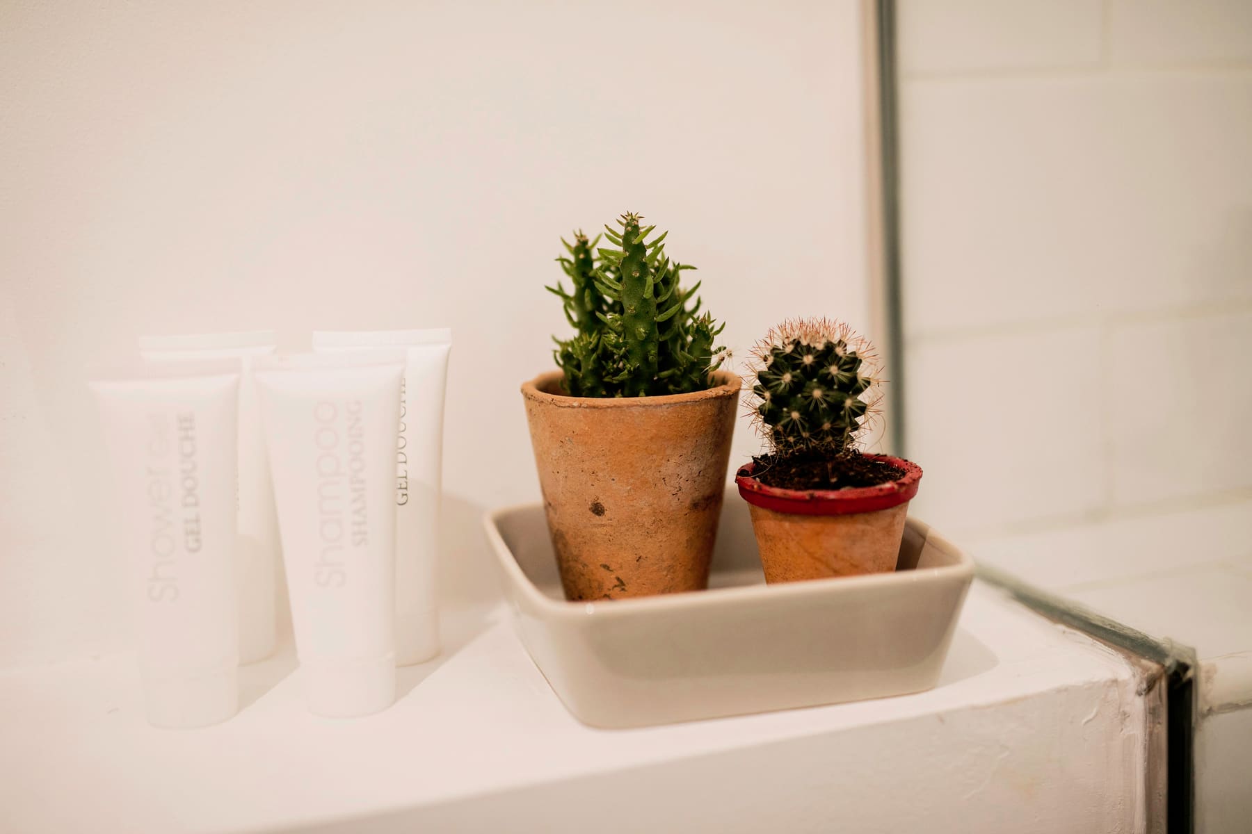 Elegant Suite 13